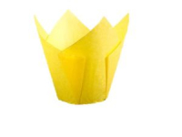 MUFFIN TULIP CASES YELLOW X200